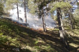 VIGILANZA E SISTEMI DI PREVENZIONE ANTINCENDIO 2